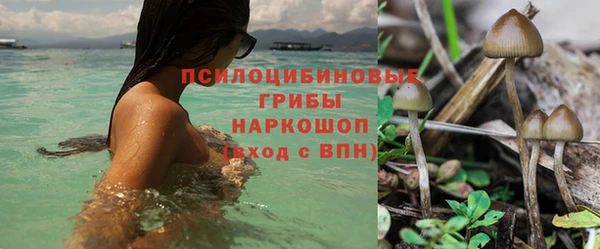 прущая мука Алзамай