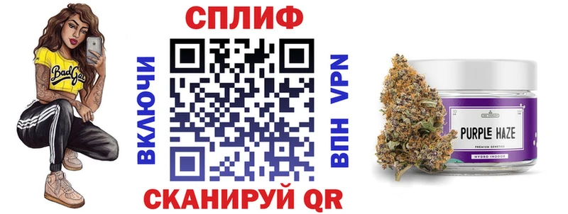 Конопля индика  где продают наркотики  Дмитровск 